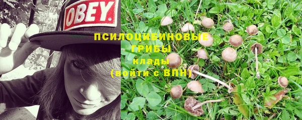 кокс Аркадак