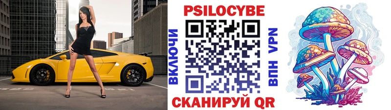 Галлюциногенные грибы Magic Shrooms  площадка наркотические препараты  Калининец 